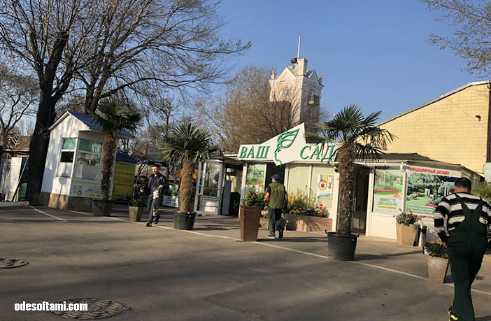 Главный вход в Ваш Сад - odesoftami.com