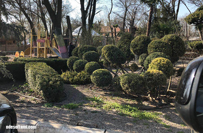 🌱 Топиари — стриженные кусты как искусство - odesoftami.com