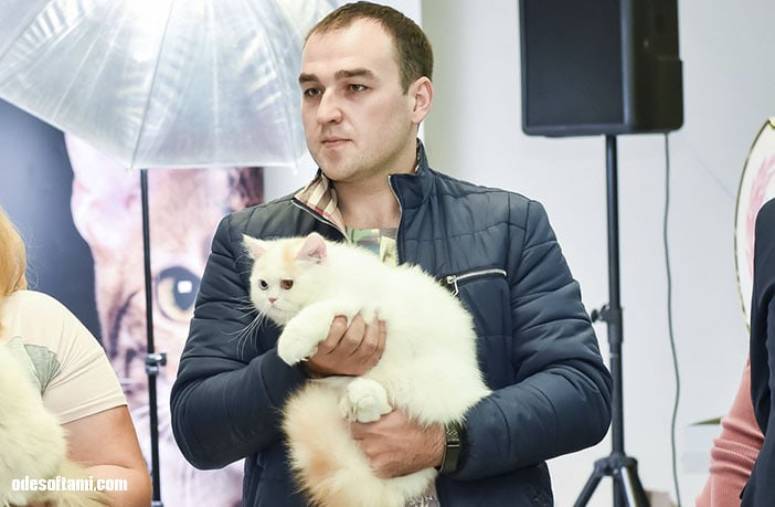Денис Алексеенко на выставке кошек Nica Cat Festival от КЛУБА ЛЕГЕНДА - odesoftami.com
