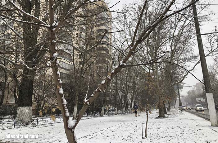 Снежное утро в Одессе - odesoftami.com