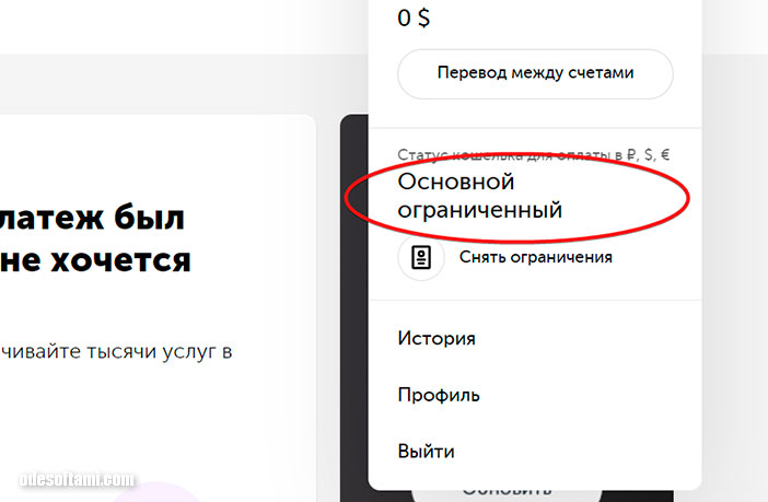 Как сделать Киви кошелек в Украине - odesoftami.com