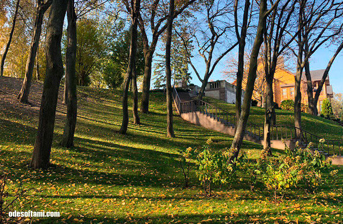 Парк в  Межигорье  - odesoftami.com