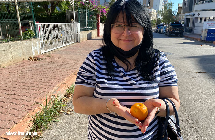 Татьяна Алексеенко в Анталья нашла апельсины - odesoftami.com