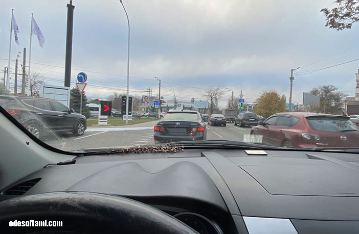 Toyota Corolla BH6318BM скрывает номера от видео фиксации в Одессе - odesoftami.com