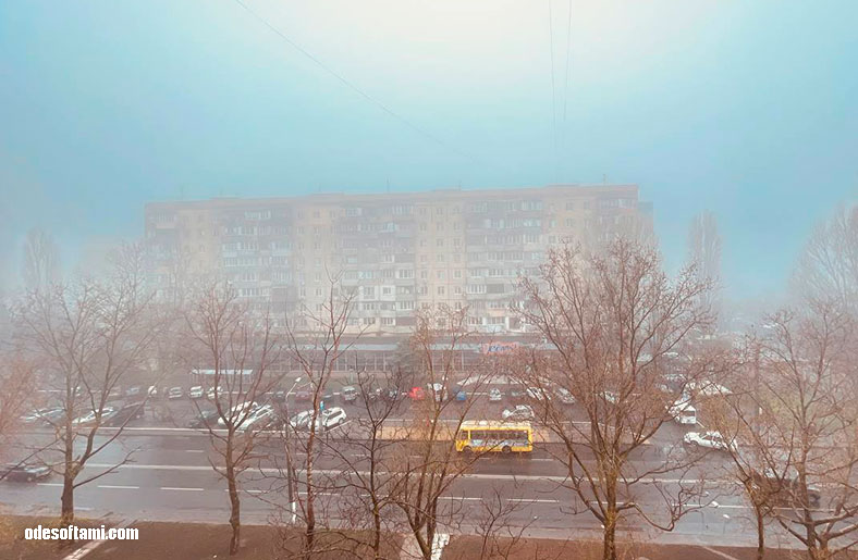 Туман в апреле - Одесса 2023 - Королева Сильпо - odesoftami.com