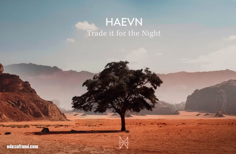 HAEVN - Trade it for the Night - odesoftami.com