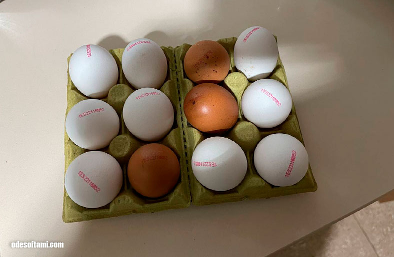 Купил куринные яйца - сорвал ДЖЕКПОТ! - Испания, Валенсия - odesoftami.com