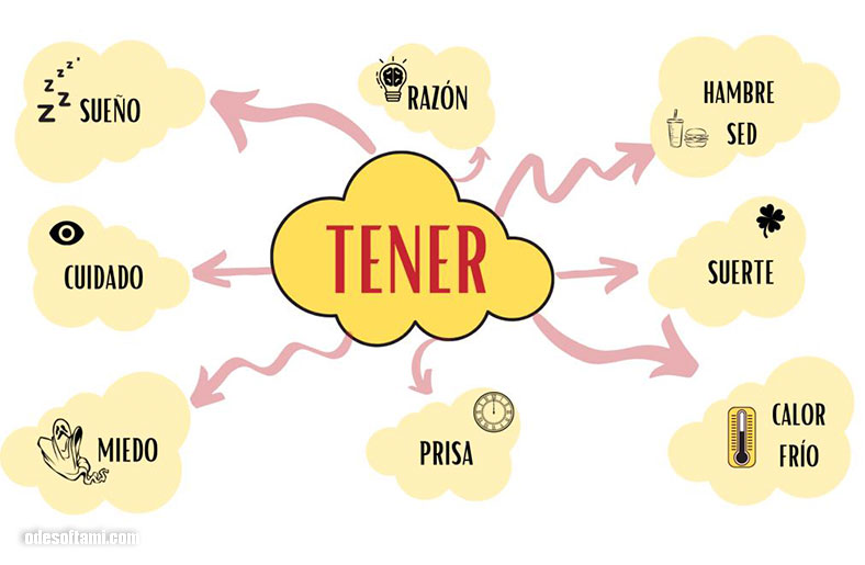 Frases con el verbo TENER | Испанский язык - odesoftami.com