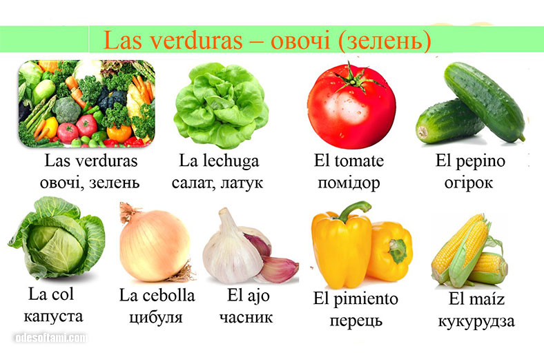 Las verduras — Овочі | Испанский язык - odesoftami.com
