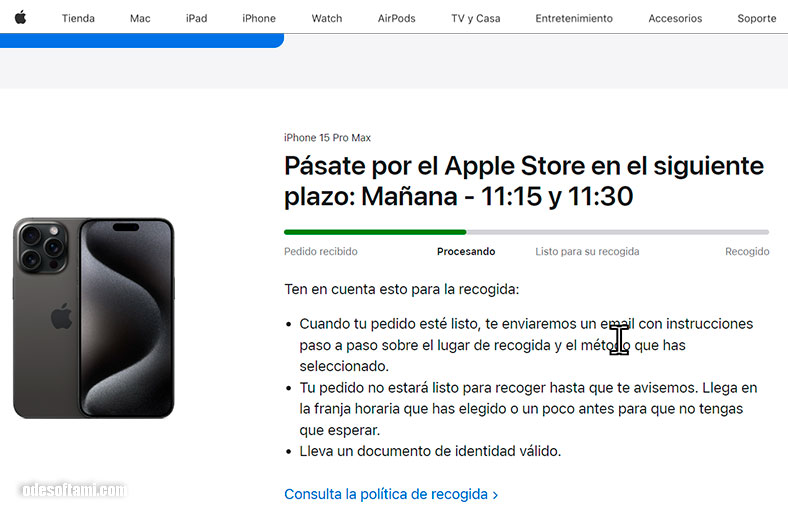 Статус заказа после оплаты изменился и нам выдадут номер заказа после оплаты на сайте Apple Valencia - odesoftami.com