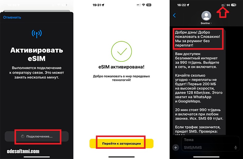 Как зарегистрировать eSim Beeline KZ онлайн- Фото 08 - odesoftami.com