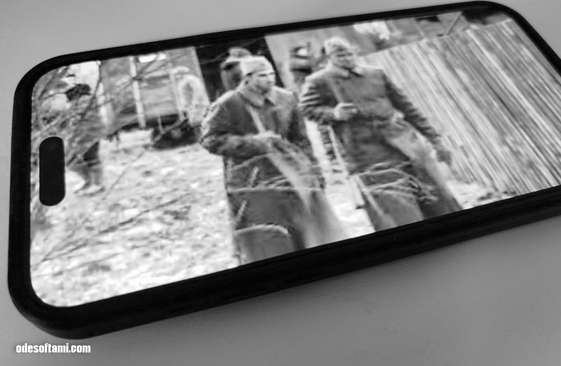 Укрощение «Пантеры» 1 сезон (2025) - odesoftami.com